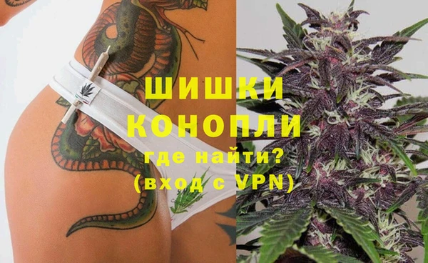 МДПВ Алексин